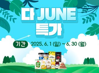 6월 특가데이